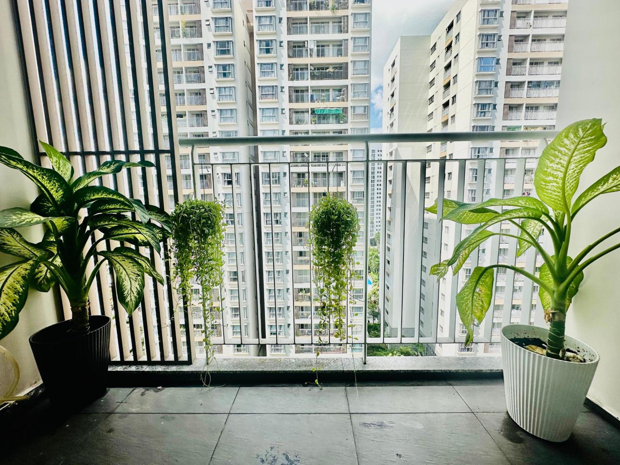 Scenic Valley Suite Ho-Chi-Minh-Stadt Exterior foto